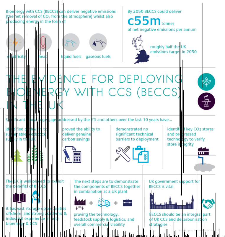 Beccs Infographic Web