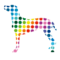 Spottydog Communications